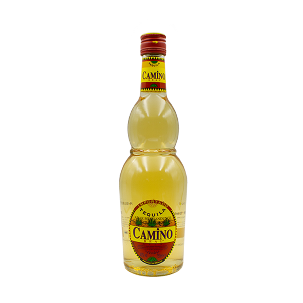 CAMINO REAL GOLD 